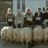 Islandská novinka si brousí zuby na Evropské filmové ceny